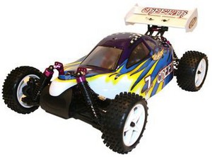 Фото Wind Hobby Off-road Buggy 1:10 4WD 2.4G RTR 0002-01