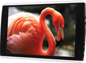 Фото IconBIT HMP815HDMI 16GB