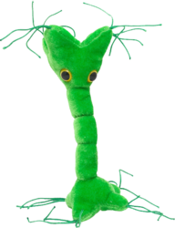 Фото Giant Microbes Нервная клетка GM002