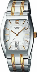 Фото мужских часов Casio Collection BEM-106SG-7A