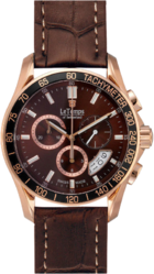 Фото мужских часов Le Temps Triathlon Chrono Bicolor or Gold-Plated LT1077.55BL02