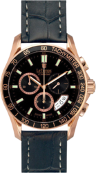 Фото мужских часов Le Temps Triathlon Chrono Bicolor or Gold-Plated LT1077.58BL01