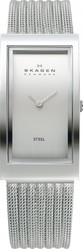 Фото часов Skagen Steel 359USSS