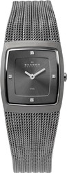 Фото женских часов Skagen Steel 380XSMMM1