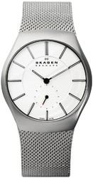 Фото мужских часов Skagen Steel 916XLSSS