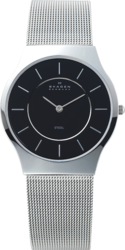 Фото мужских часов Skagen Mesh Classic 233LSSB