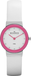 Фото женских часов Skagen Steel SKW2016