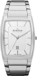 Фото мужских часов Skagen Steel SKW6005