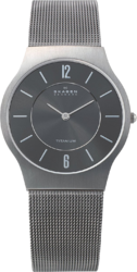 Фото мужских часов Skagen Titanium 233LTTM