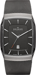 Фото мужских часов Skagen Titanium SKW6012