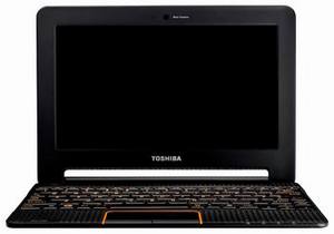 Фото ноутбука Toshiba AC100-116
