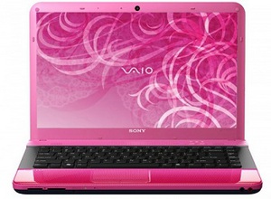 Фото ноутбука Sony VAIO VPC-EA3S1R/P