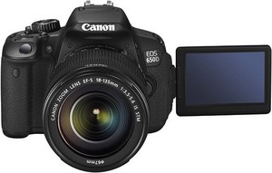 Фото Canon EOS 650D Kit EF-S 18-55 + 55-250 IS II