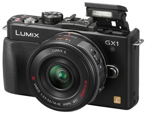Фото Panasonic Lumix DMC-GX1 Kit GX VARIO PZ 14-42