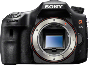 Фото Sony Alpha SLT-A65X Kit 18-55 II, 55-200