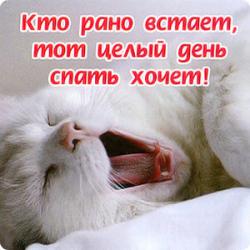 Я хочу спать только днем Я хочу спать только днем