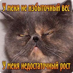 Как убрать жир с ног и живота у женщин