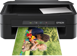 Фото многофункционального устройства Epson Expression Home XP-103