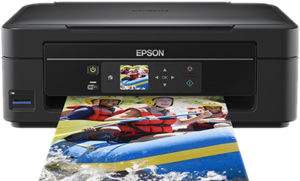 Фото многофункционального устройства Epson Expression Home XP-303