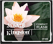Фото флеш-карты Kingston CF 256MB
