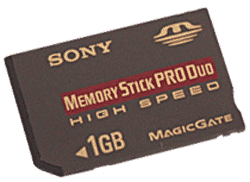 Фото флеш-карты Sony Memory Stick PRO DUO 1GB MSX-M1GN