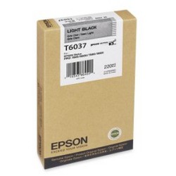 Фото картриджа для принтера Epson Stylus Pro 9880 EPT603700