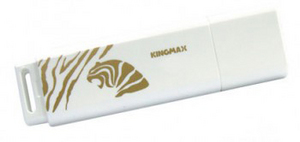 Фото флэш-диска Kingmax Super Stick Mini 2GB Golden Tiger Edition