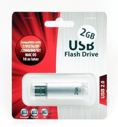 Фото флэш-диска USB Flash Drive PD047 2GB