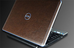 Фото наклейки для Dell Inspiron 11z SGP Skin Guard Set