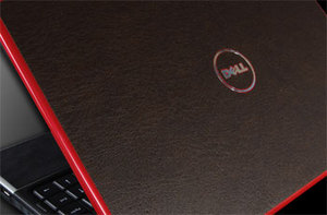 Фото наклейки для Dell Inspiron 13z SGP Skin Guard Set