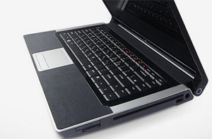 Фото защитной наклейки для Dell Studio 1558 SGP Wristrest