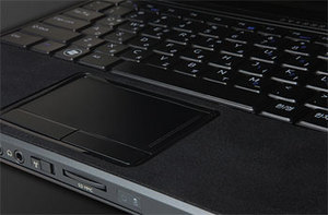 Фото защитной наклейки для Dell Vostro 3300 SGP Wristrest