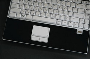 Фото защитной наклейки для Dell XPS M1330 SGP Wristrest