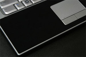 Фото защитной наклейки для Dell XPS M1530 SGP Wristrest