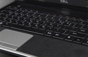 Фото защитной наклейки для Dell Inspiron 13z SGP Wristrest