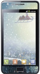 Фото виниловой наклейки на Samsung i9100 Galaxy S 2 Vinil-Koritsa 171.0