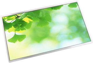 Фото тачскрина для Acer Iconia Tab A501 TopON TOP-AIT-A500